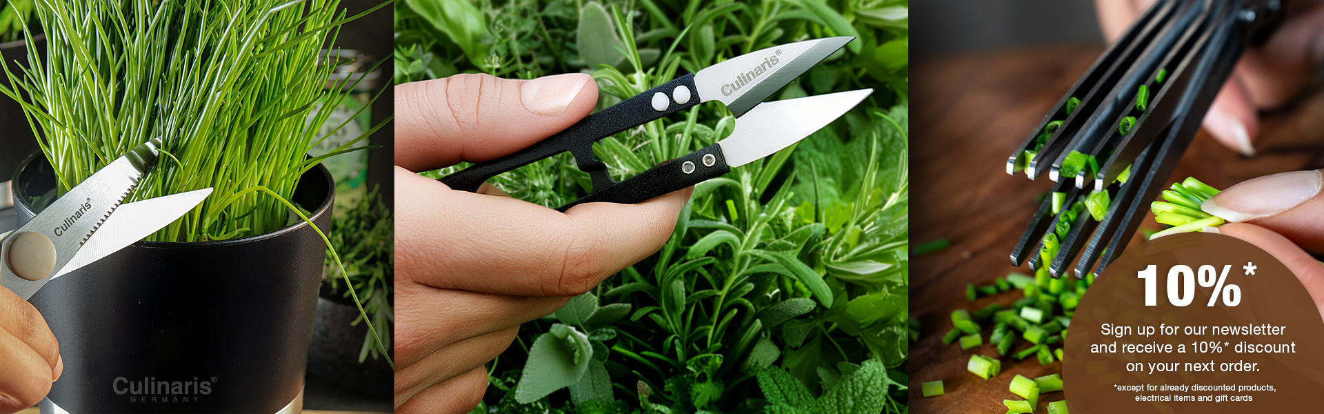 CU_News10_Scheren_en